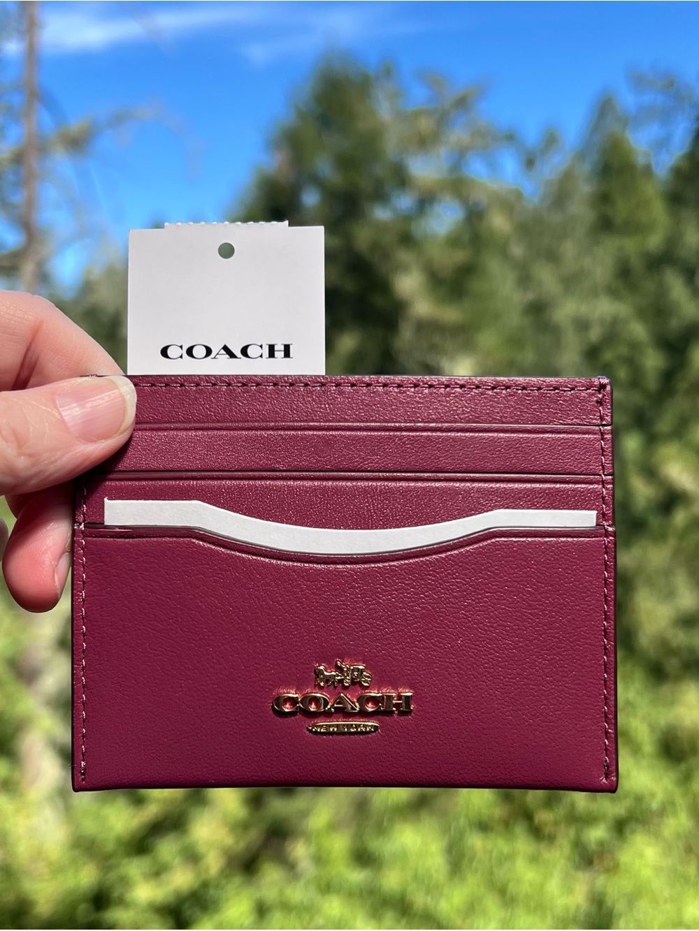 NWT! COACH Slim Id Card Case Pink Calf Leather Gold Hardware AUTHENTIC CAA88